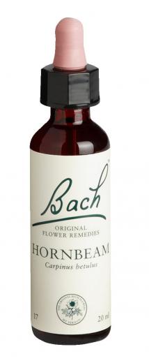 Bach-Blüte Hornbeam 20 ml Tropfen
