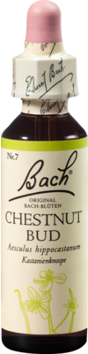 BACHBLTEN Chestnut Bud Tropfen 20 ml