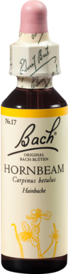 BACHBLTEN Hornbeam Tropfen 20 ml