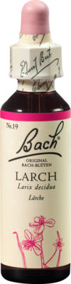 BACHBLTEN Larch Tropfen 20 ml