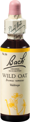 BACHBLTEN Wild Oat Tropfen 20 ml