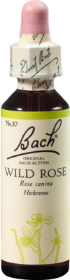 BACHBLTEN Wild Rose Tropfen 20 ml