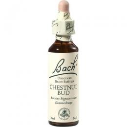BACHBLÜTEN Chestnut Bud Tropfen 20 ml