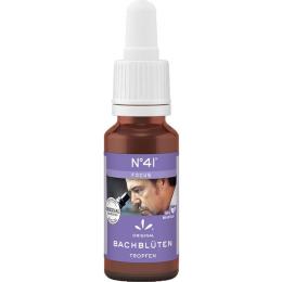 BACHBLÜTEN Nr.41 FOCUS Tropfen 20 ml