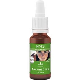 BACHBLÜTEN Nr.43 MOTIVATION Tropfen 20 ml