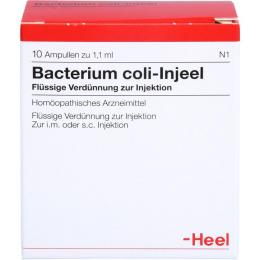 BACTERIUM COLI Injeel Ampullen 10 St.