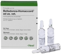 BELLADONNA HOMACCORD ad us.vet.Ampullen 5 St