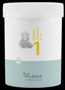 BIOCHEMIE Pflger 1 Calcium fluoratum D 12 Pulver 250 g