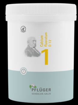 BIOCHEMIE Pflger 1 Calcium fluoratum D 12 Tabl. 1000 St
