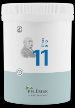 BIOCHEMIE Pflger 11 Silicea D 12 Tabletten 1000 St