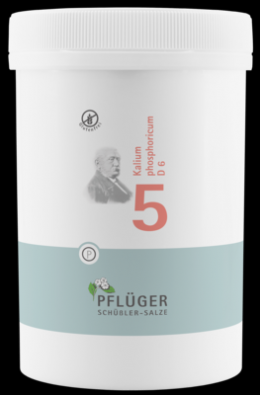 BIOCHEMIE Pflger 5 Kalium phosphoricum D 6 Tabl. 4000 St