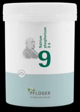 BIOCHEMIE Pflger 9 Natrium phosphoricum D 6 Pulv. 250 g