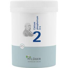 BIOCHEMIE Pflüger 2 Calcium phosphoricum D 6 Pulv. 250 g