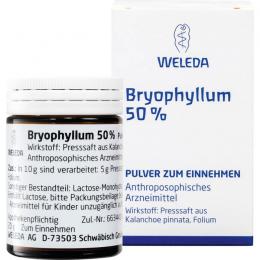 BRYOPHYLLUM 50% Pulver zum Einnehmen 20 g