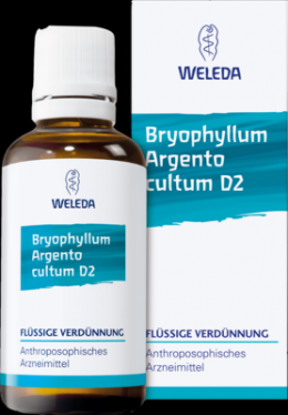 BRYOPHYLLUM ARGENTO cultum D 3 Dilution 50 ml