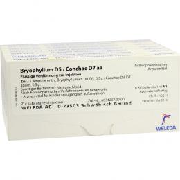 BRYOPHYLLUM D 5/Conchae D 7 Ampullen 48 X 1 ml Ampullen