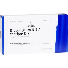 BRYOPHYLLUM D 5/Conchae D 7 Ampullen 8 ml