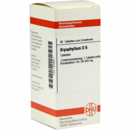 BRYOPHYLLUM D 6 Tabletten 80 St