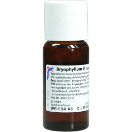 BRYOPHYLLUM URT 50 ml Dilution