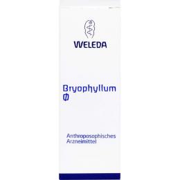 BRYOPHYLLUM Urtinktur 50 ml