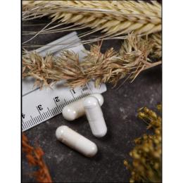 BUTYRI Plex American Biologics Kapseln 60 St. (50 g)