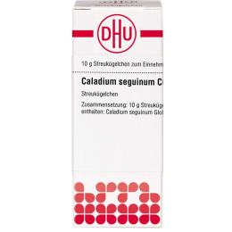 CALADIUM seguinum C 6 Globuli 10 g