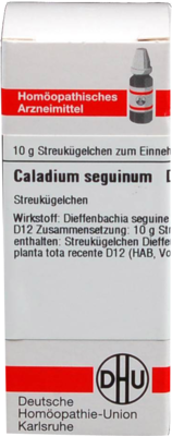 CALADIUM seguinum D 12 Globuli 10 g