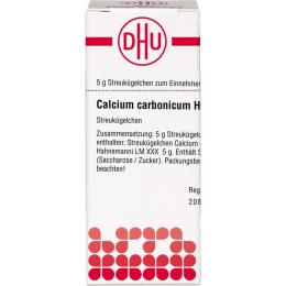 CALCIUM CARBONICUM Hahnemanni LM XXX Globuli 5 g