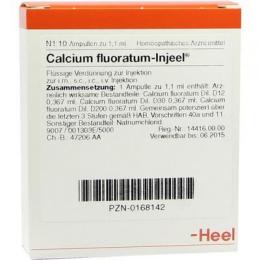 CALCIUM FLUORATUM INJEEL Ampullen 10 St