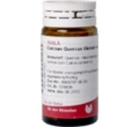 CALCIUM QUERCUS Globuli velati 20 g