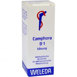 CAMPHORA D 1 Dilution 20 ml Dilution