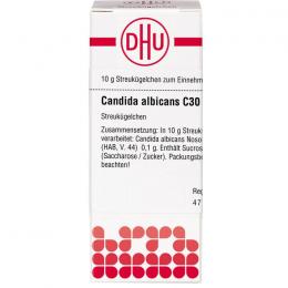 CANDIDA ALBICANS C 30 Globuli 10 g