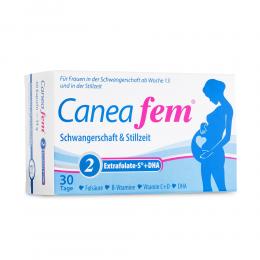Caneafem 2 Extrafolate-S + DHA Kapseln Schwangerschaft & Stillzeit 2 X 30 St Kapseln