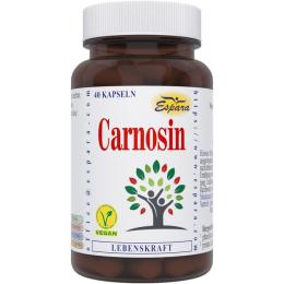 CARNOSIN Kapseln 40 St.