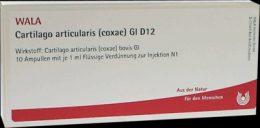 CARTILAGO articularis coxae GL D 12 Ampullen 10X1 ml