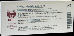 CARTILAGO articularis genus GL D 6 Ampullen 10X1 ml