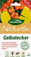 CELAFLOR Gelbstecker 10 St