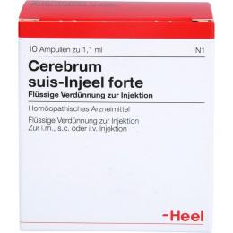 CEREBRUM SUIS Injeel forte Ampullen 10 St.