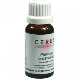 CERES Plantago lanceolata Urtinktur 20 ml Tropfen