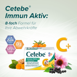 CETEBE Immun Aktiv Tabletten 120 St.