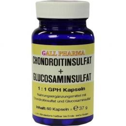 CHONDROITINSULFAT+Glusosaminsulfat 1:1 GPH Kapseln 60 St. (42 g)