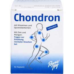 CHONDRON Tabletten 60 St. (37,6 g)