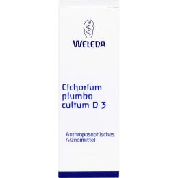CICHORIUM PLUMBO cultum D 3 Dilution 50 ml