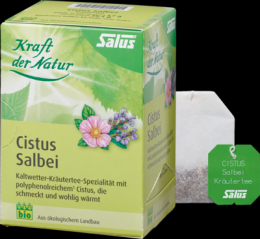 CISTUS SALBEI Kräutertee Kraft d.Natur Salus Fbtl. 15 St
