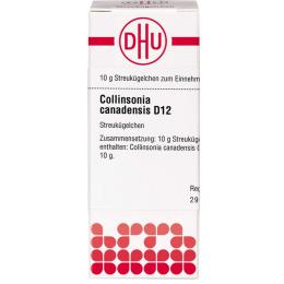 COLLINSONIA CANADENSIS D 12 Globuli 10 g