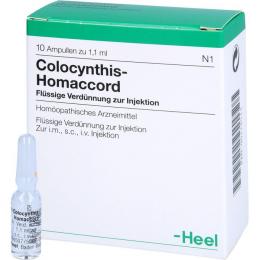 COLOCYNTHIS HOMACCORD Ampullen 10 St.