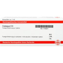 CRATAEGUS D 6 Ampullen 8 ml