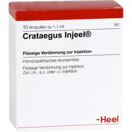 CRATAEGUS INJEEL Ampullen 10 St.