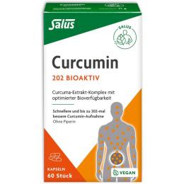 CURCUMIN 202 Bioaktiv Kapseln Salus 60 St. (60 Stück)