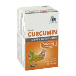 CURCUMIN 500 mg 95% Curcuminoide+Piperin Kapseln 90 St Kapseln